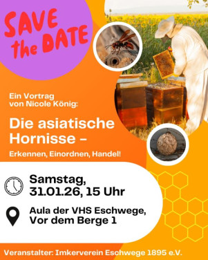 Die Asiatische Hornisse