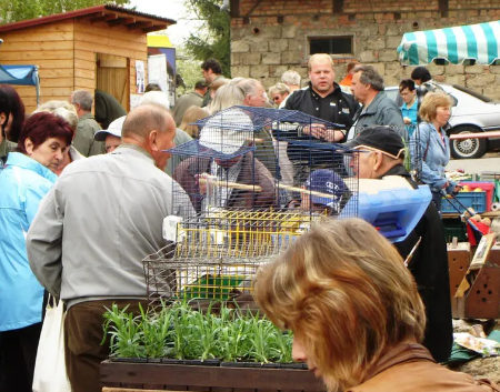 Tier- und Bauernmarkt