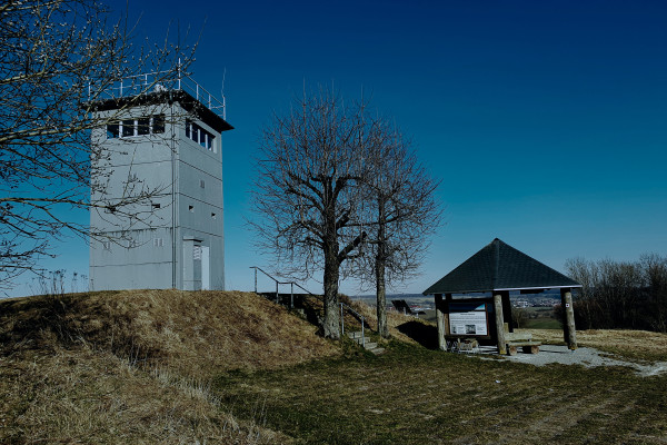 Langer Tag der Natur: Grünes Band im Schein der Taschenlampe