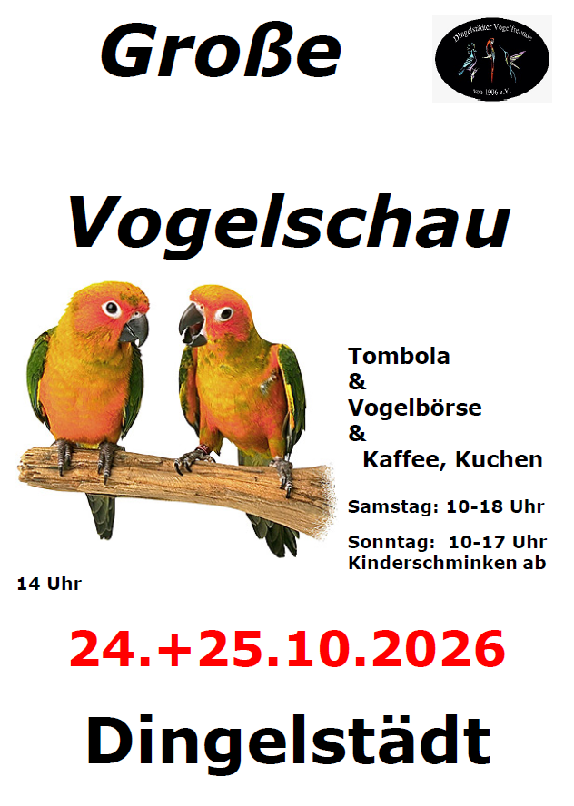 große Vogelschau