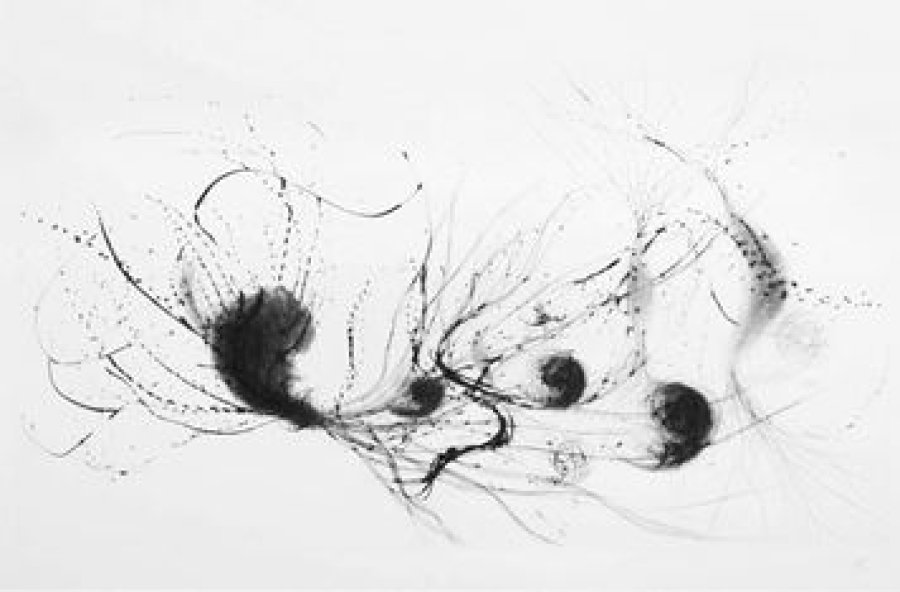 Ausstellung Tuschezeichnungen von Maja Oschmann